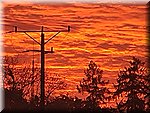 20241026_070705.jpg