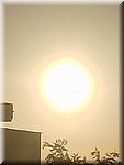 IMG_20241002_071232.jpg
