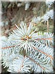 IMG_20241009_141014.jpg