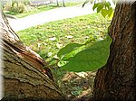 IMG_20241009_141321.jpg