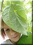 IMG_20241009_141409.jpg