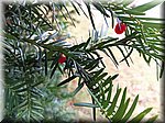 IMG_20241009_141545.jpg