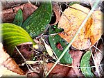 IMG_20241009_141632.jpg
