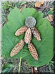 IMG_20241009_141711.jpg