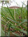 IMG_20241009_141926.jpg