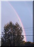 IMG_20241013_173415.jpg