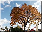 IMG_20241023_134647.jpg