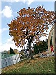 IMG_20241023_134753.jpg