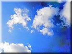 IMG_20241023_135857.jpg