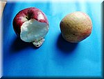 IMG_20241030_140247.jpg