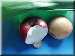 IMG_20241030_140321.jpg