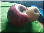 IMG_20241030_140455.jpg