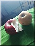 IMG_20241030_140503.jpg