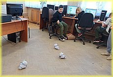 IMG_20250210_153754.jpg